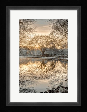 Framed Frosty Morning II Print