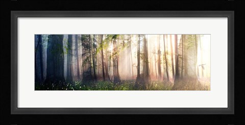 Framed Constancy Print