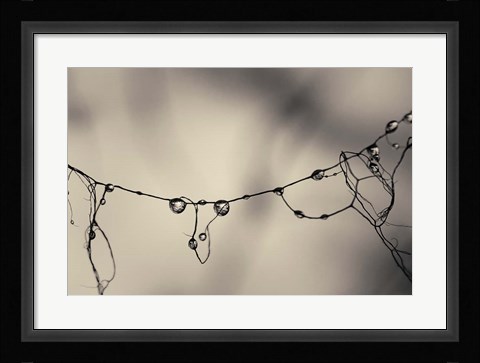 Framed Moss 2017 Print