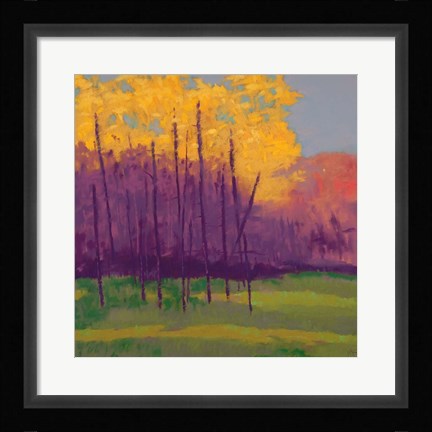Framed Bright View No. 3 Print