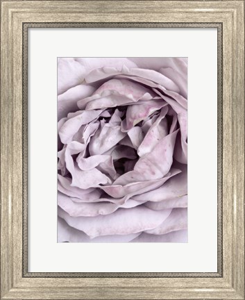 Framed Rose Heart Print
