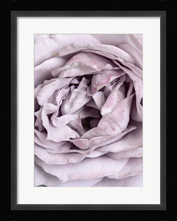 Framed Rose Heart Print