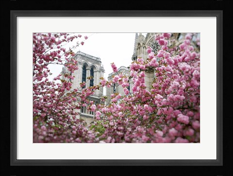 Framed Notre Dame 1 Print