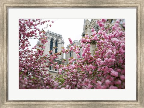 Framed Notre Dame 1 Print