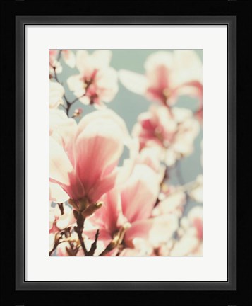Framed Paris Petals 1 Print
