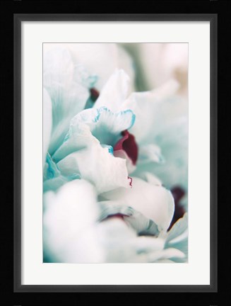 Framed Paris Petals 2 Print