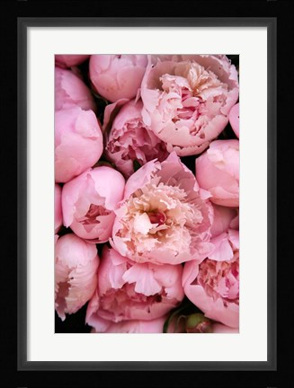Framed Peony 4 Print