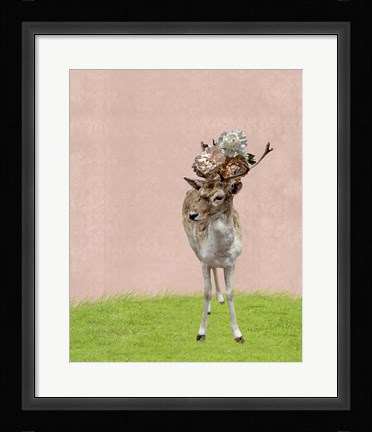 Framed Buck on Pink Print