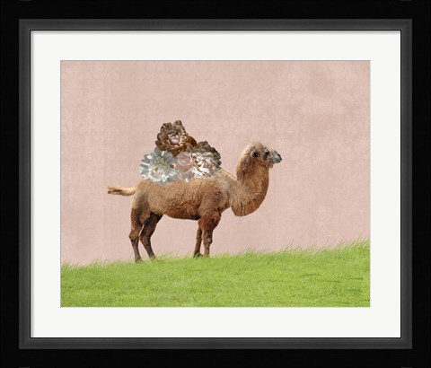 Framed Camel on Pink Print
