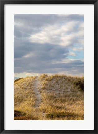 Framed Dunes Trail Print