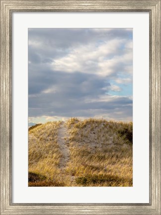 Framed Dunes Trail Print