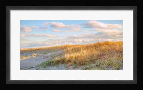 Framed Grassy Dunes Panorama Print