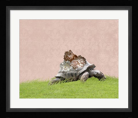 Framed Tortoise on Pink Print
