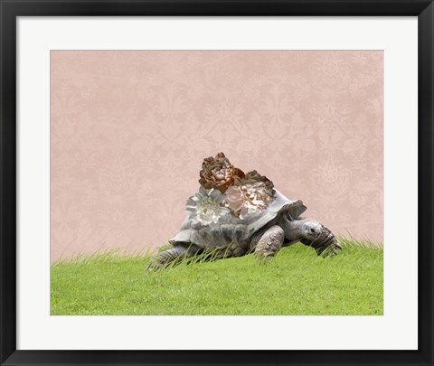 Framed Tortoise on Pink Print