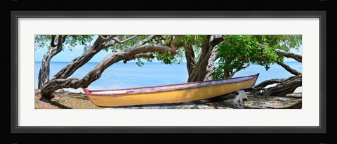 Framed Yellow Bird Boat Print