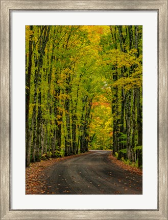 Framed Covered Road Near Houghton, Michigan Print