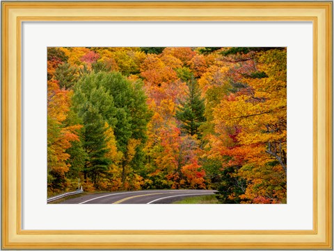 Framed Autumn Color Along Highway 26 Near Houghton, Michigan Print