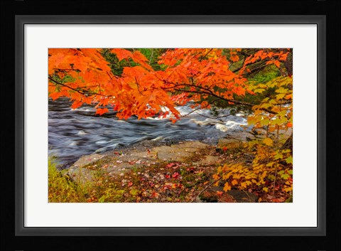 Framed Sturgeon River In Autumn Near Alberta, Michigan Print