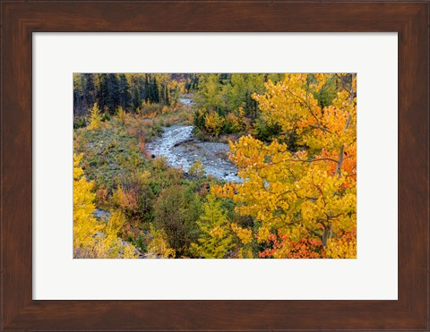 Framed Autumn Color Along Divide Creek In Glacier National Park, Montana Print
