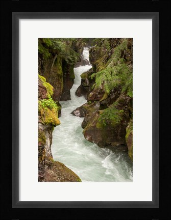 Framed Glacier National Park, Montana Avalanche Creek Print