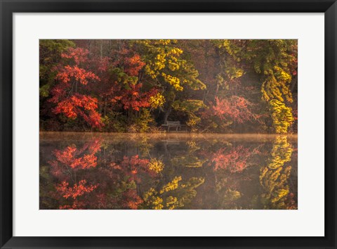 Framed New Jersey, Belleplain State Fores,t Autumn Tree Reflections On Lake Print