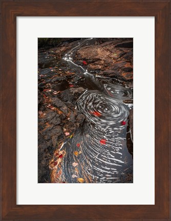 Framed New York, Adirondack State Park Stream Eddies Print
