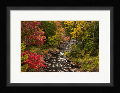Framed New York, Adirondack State Park Stream And Forest In Autumn Print