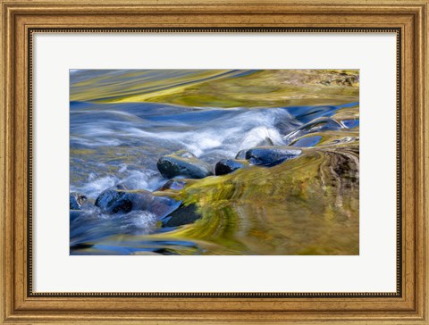 Framed Oregon Abstract Of Autumn Colors Reflected In Wilson River Rapids Print