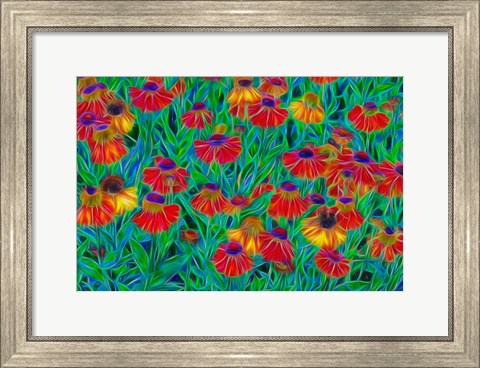 Framed Oregon, Coos Bay, Abstract Of Helenium Flowers In Garden Print