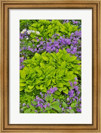 Framed Spring Colors, Chanticleer Garden, Pennsylvania 1 Print