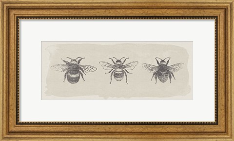 Framed Three Bees Print