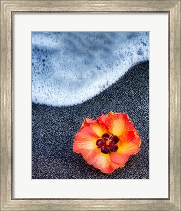 Framed Beach Floral Print