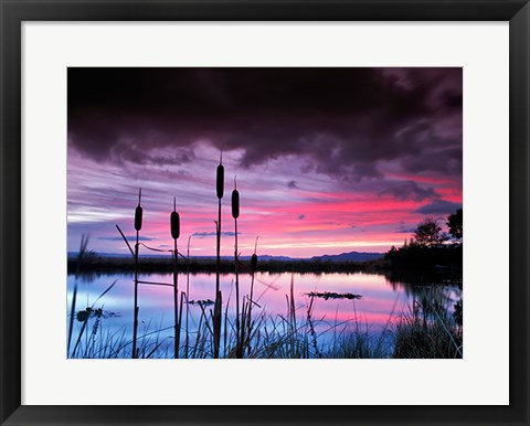 Framed Purple Skies Print