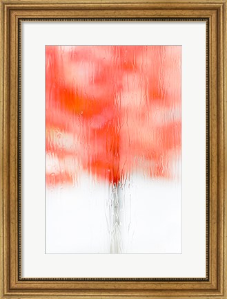 Framed Coral Window II Print