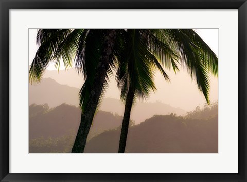 Framed Misty Palms Print