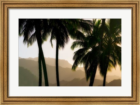 Framed Misty Palms II Print