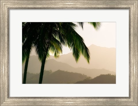 Framed Misty Palms III Print