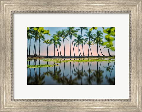 Framed Palm Tree Reflections Print