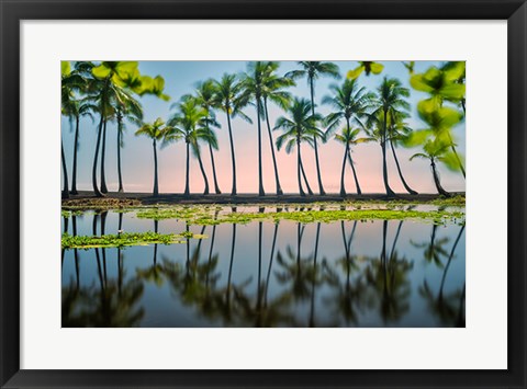Framed Palm Tree Reflections Print