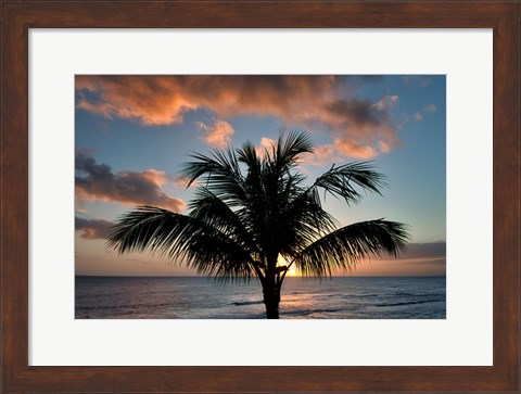 Framed Palm Tree Sunset II Print