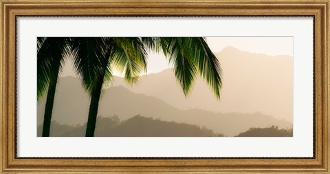 Framed Misty Palms IV Print