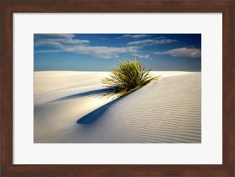 Framed Dune Print