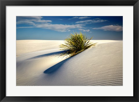 Framed Dune Print