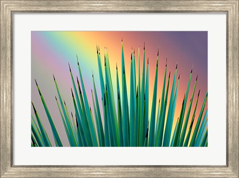 Framed Prism Plant Print