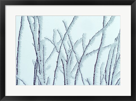 Framed Icy Print