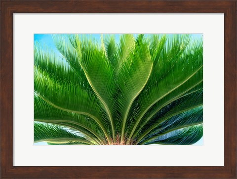 Framed Tropical III Print