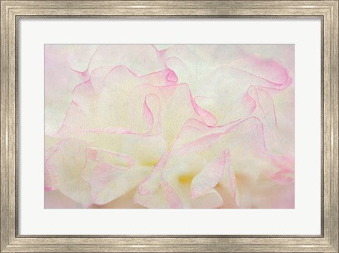Framed Blush Print