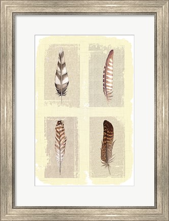 Framed Traditional Figurative Feathers Print