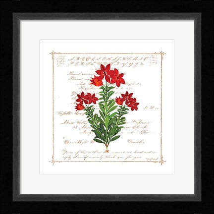 Framed Floral I Print