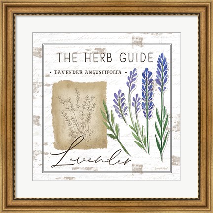 Framed Herb Guide - Lavender Print